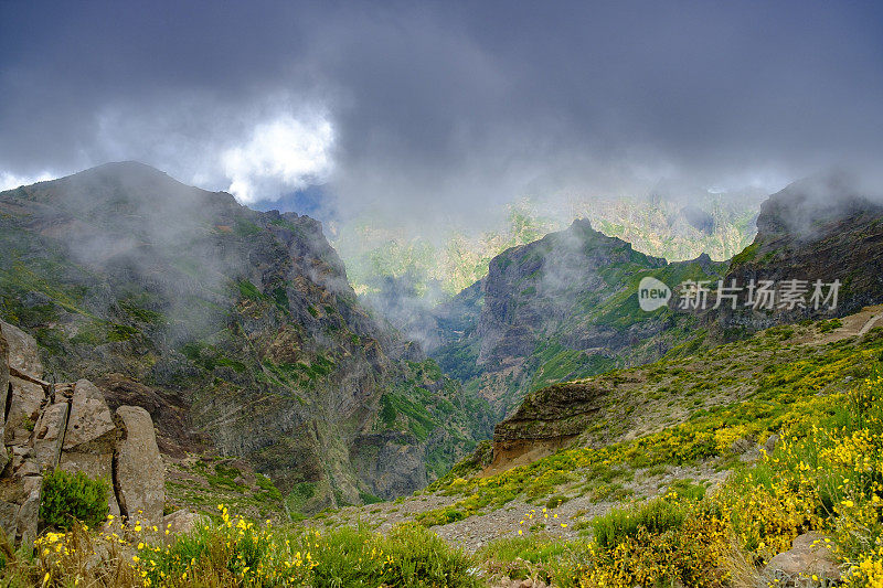 马德拉岛的山在Pico do ariiro和云彩在高山上